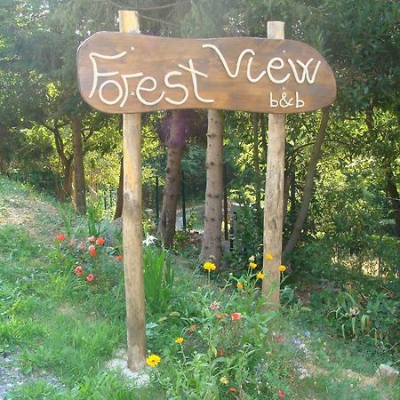 Forest View B&B 가비체 외부 사진